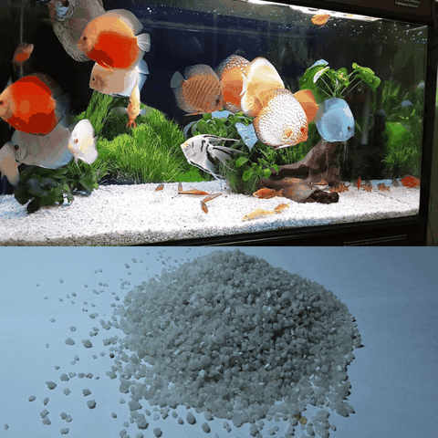 Cát Thạch Anh Màu Trắng Ngà Hạt To