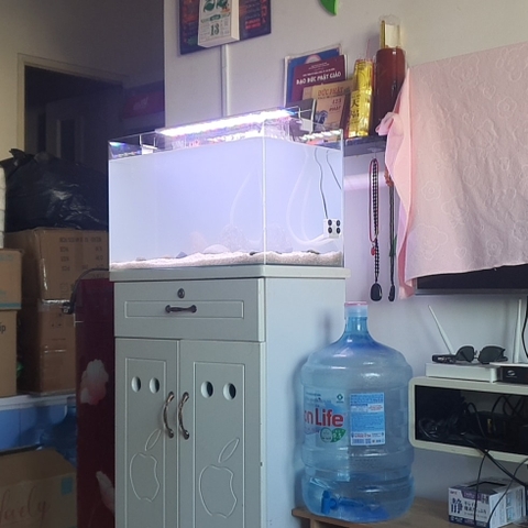 Cát Thạch Anh Màu Trắng Ngà Hạt To