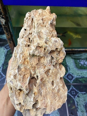 Đá Tiger | Size 5-10cm ; Size 10-20cm; Size >20cm