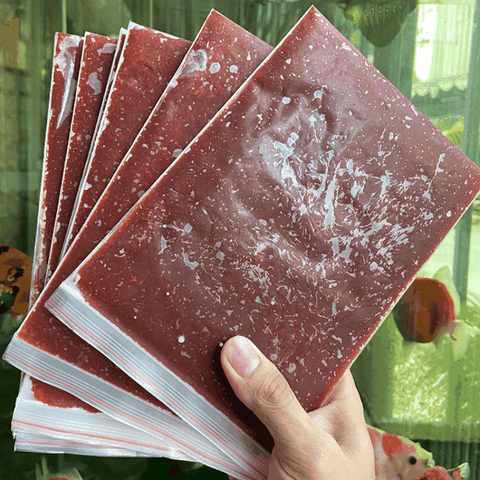 Trùng Huyết Đông Lạnh – Thức Ăn Dinh Dưỡng Cao Cho Cá Cảnh