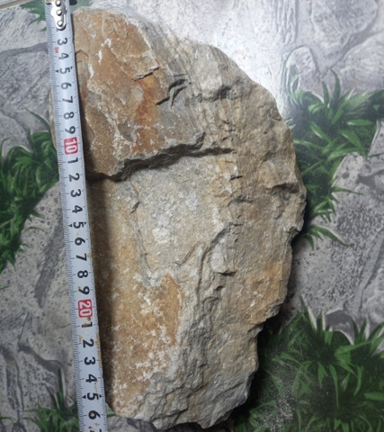 Đá Tuyết Sơn | Size 5-10cm ; 10-20cm; >20cm