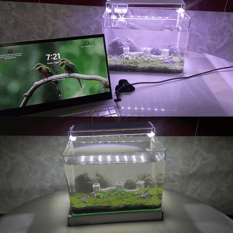 Tượng Vạn Lý Trường Thành Trang Trí Hồ Thủy Sinh – Điểm Nhấn Cổ Kính Cho Thủy Cảnh Thêm Sinh Động