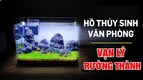 Tượng Vạn Lý Trường Thành Trang Trí Hồ Thủy Sinh – Điểm Nhấn Cổ Kính Cho Thủy Cảnh Thêm Sinh Động