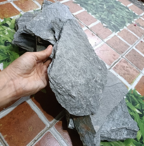 Đá Vỉa | Size nhỏ ; Size vừa; Size to