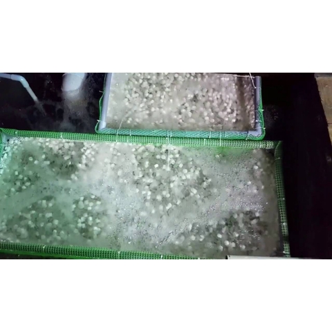 HẠT KALDNES LÀM VẬT LIỆU LỌC CHO HỒ CÁ, LỌC NGOÀI, THỦY SINH 500gr