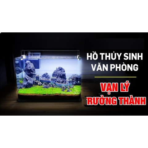 Vạn Lý Trường Thành