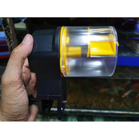 MÁY CHO CÁ ĂN TỰ ĐỘNG HẸN GIỜ
