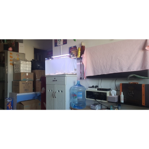 Cát thạch anh lọc nước, lọc phèn, trải nền hồ cá thủy sinh tiểu cảnh