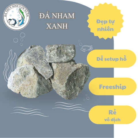 Đá Nham Xanh Tự Nhiên – Decor Hồ Cá Phong Cách Nature Aquarium