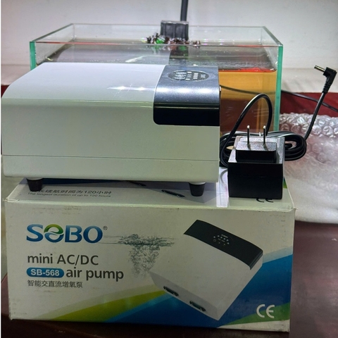 [Tặng kèm dây và đá sủi] Máy Sủi Oxy Tích Điện SOBO SB-568 4 Vòi – Sủi Mạnh, Pin Trâu, Chạy Êm