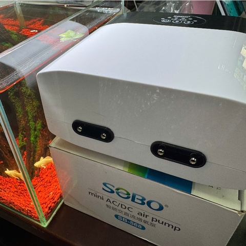[Tặng kèm dây và đá sủi] Máy Sủi Oxy Tích Điện SOBO SB-568 4 Vòi – Sủi Mạnh, Pin Trâu, Chạy Êm