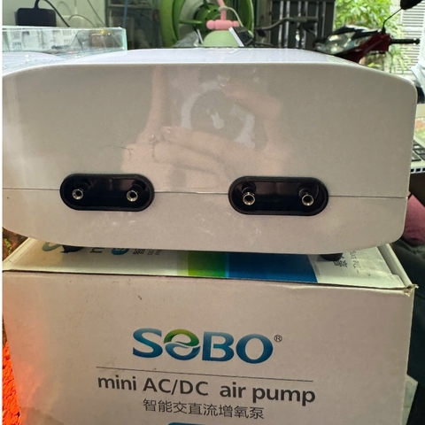 [Tặng kèm dây và đá sủi] Máy Sủi Oxy Tích Điện SOBO SB-568 4 Vòi – Sủi Mạnh, Pin Trâu, Chạy Êm