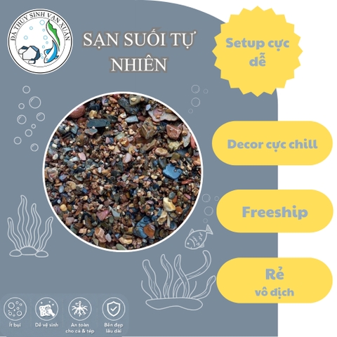 Sạn Suối Tự Nhiên Cao Cấp – Decor Hồ Cá, Layout Phong Cách Tự Nhiên