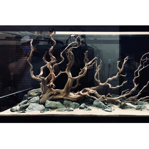 Đá Nham Xanh Tự Nhiên – Decor Hồ Cá Phong Cách Nature Aquarium