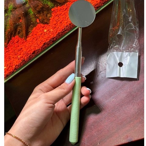 Kính Kè Cá Betta Cán Rút ~70cm – Gương Kè Betta Tập Sung, Bung Vây, Lên Form Cá