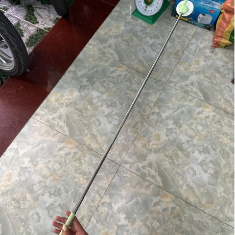 Kính Kè Cá Betta Cán Rút ~70cm – Gương Kè Betta Tập Sung, Bung Vây, Lên Form Cá