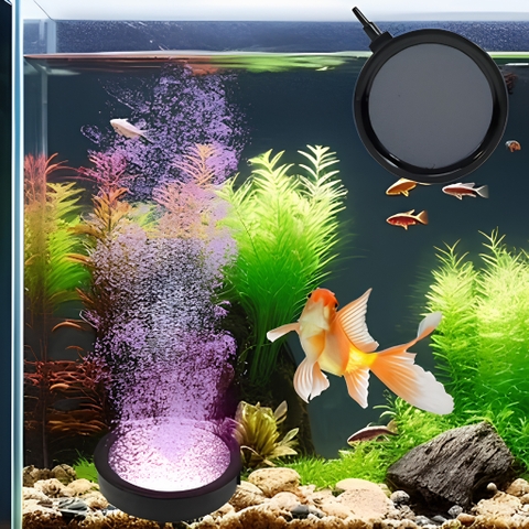 Đĩa Sủi Oxy Siêu Mịn Hiệu Bonetar B024 Viền Nhựa, Tạo Bọt Khí Nano Tăng Oxy Hòa Tan Cho Hồ Cá 10cm , 20cm