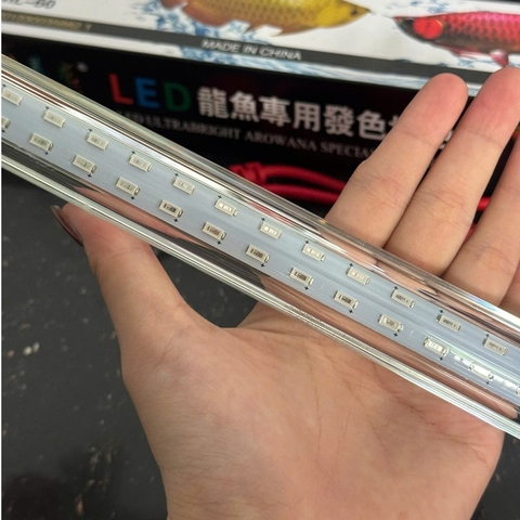 Đèn Led T8 Xuanmeilong Thủy Tinh Limited 2 hàng led - Led XML Chuyên Dụng Đỏ Cá