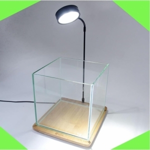 Đèn LED Đế Gỗ Để Bàn Trang Trí Hồ Cá, Bể Thủy Sinh, Tiểu Cảnh Size Vừa & Size Lớn