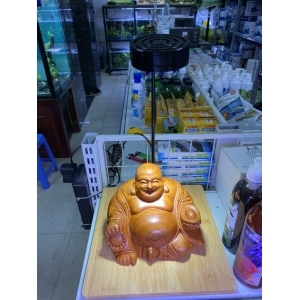 Đèn LED Đế Gỗ Để Bàn Trang Trí Hồ Cá, Bể Thủy Sinh, Tiểu Cảnh Size Vừa & Size Lớn