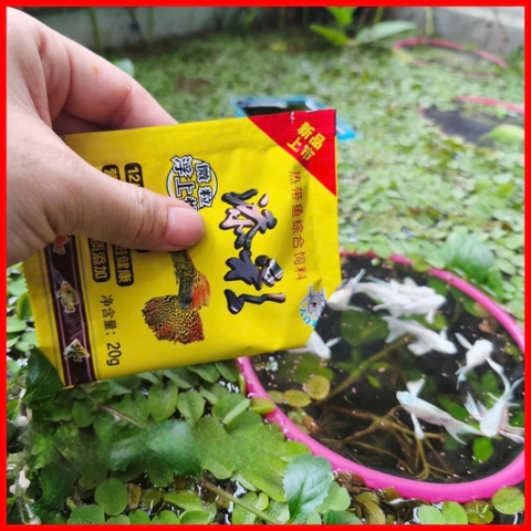 Thức ăn cho cá 7 màu , betta 20g  - Cám cá cảnh , Cám dinh dưỡng