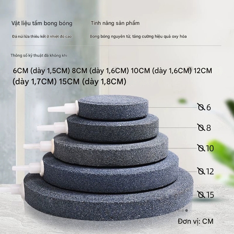 Sủi Oxy Đĩa - Đĩa Đá Sủi Oxy Jeneca Loại Lớn Đường Kính 8cm 6cm 4cm Cho Hồ Cá Cảnh , Hồ Thủy Sinh