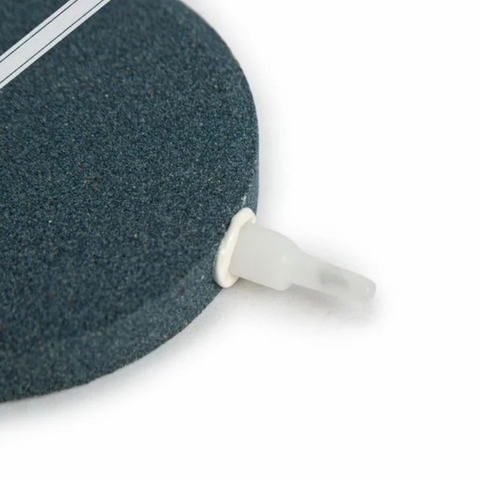 Sủi Oxy Đĩa - Đĩa Đá Sủi Oxy Jeneca Loại Lớn Đường Kính 8cm 6cm 4cm Cho Hồ Cá Cảnh , Hồ Thủy Sinh