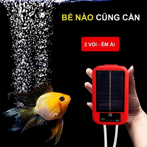 [TẶNG DÂY & ĐÁ SỦI] Máy Sủi Oxy BAOYU Tích Điện BY-A3 Tiện Lợi | Máy Sục Oxy Mini Sẵn Pin Năng Lượng