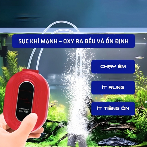 [TẶNG DÂY OXY & ĐÁ SỦI] Máy Sủi Oxy Siêu Êm BAOYU BY-P502 , Máy Sục Khí Oxy Cho Bể Cá