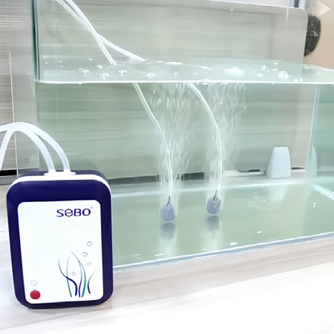 [TẶNG DÂY OXY & ĐÁ SỦI] Máy Sủi Oxy Tích Điện 2 Vòi SoBo SB3000 | Sục Oxy Tích Điện Cho bể Cá Cảnh