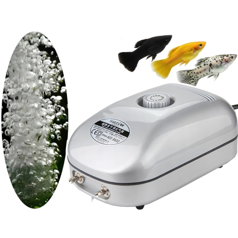 [TẶNG DÂY OXY & ĐÁ SỦI] Máy Sủi Khí Oxy Hailea ACO 9601 | Hailea ACO 9602 | 1 Vòi , 2 Vòi Sủi Khí Siêu Êm Cho Hồ Cá