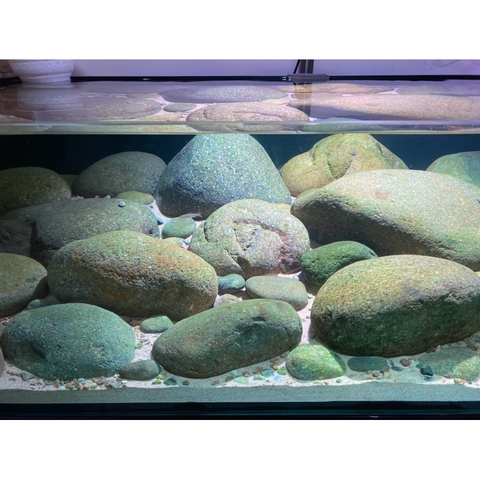 Đá cuội setup hồ cá