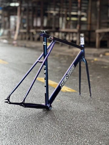 Khung Tendo TT RS XLOW Size 58 DƯƠNG TÍM