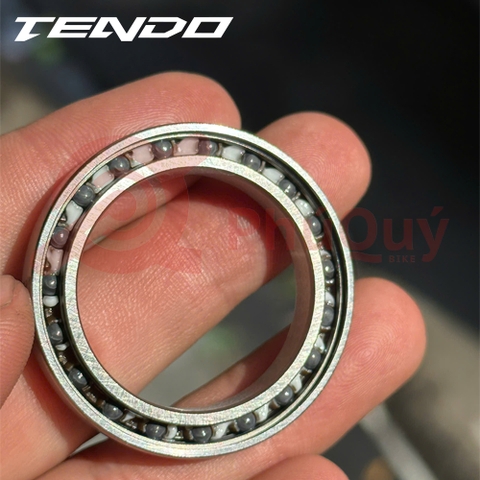 Bạc đạn Tendo Ceramic