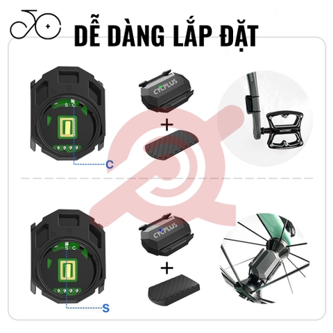 ĐO TUA CHÂN CYCPLUS C3