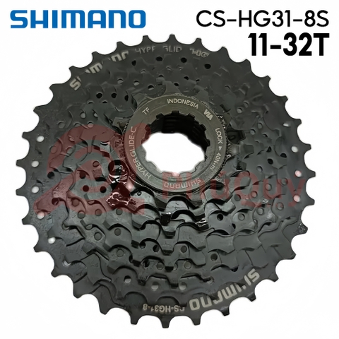 LÍP 8 SHIMANO 11-32T HG31