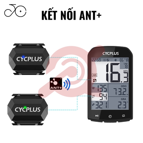 ĐO TUA CHÂN CYCPLUS C3