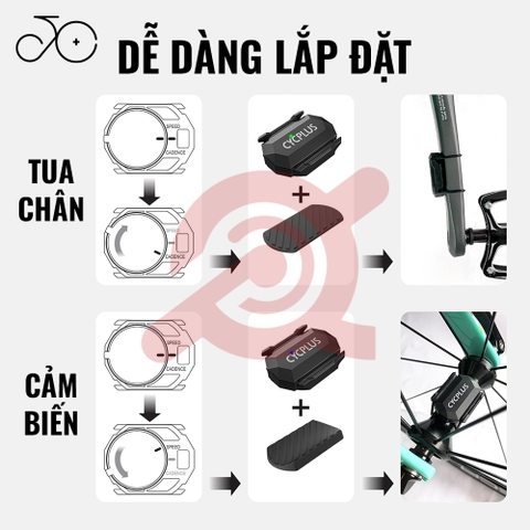 ĐO TUA CHÂN CYCPLUS C3
