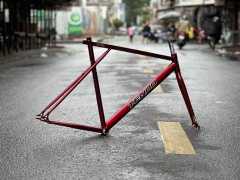 Khung Tendo TT RS XLOW size 58