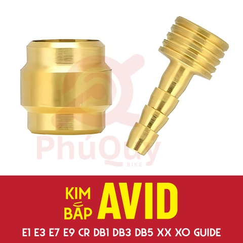 Kim Bắp AVID