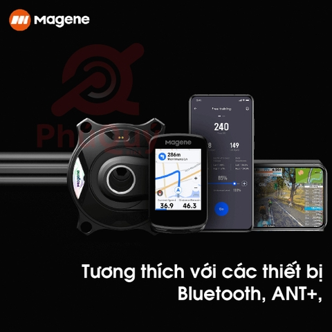Đùi Dĩa Đo Lực MAGENE PES P515