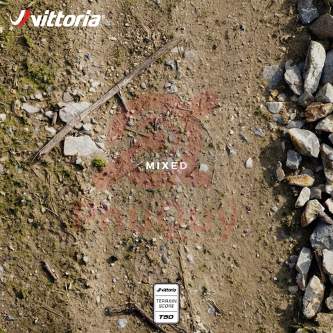 Vỏ Vittoria Terreno T50 Mixed TLR Gravel Endurance G2.0 (VAT)