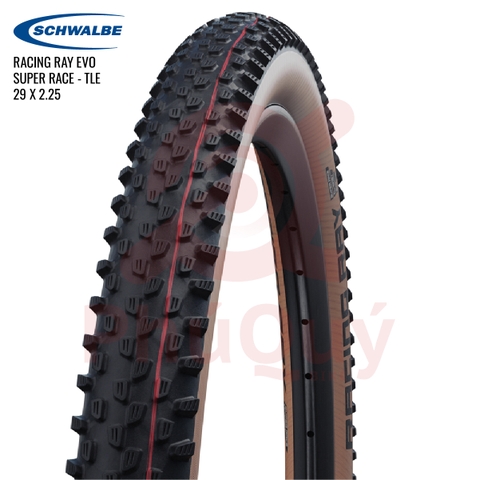Vỏ Schwalbe 29x2.25 RACING RAY EVO TUBELESS EASY Super Race Hông Nâu