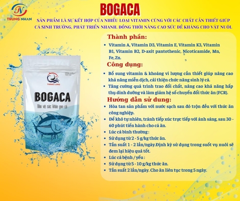 Bogaca
