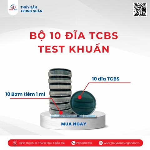 Combo 10 đĩa test khuẩn TCBS