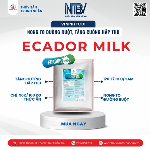 NTBV Ecador Milk