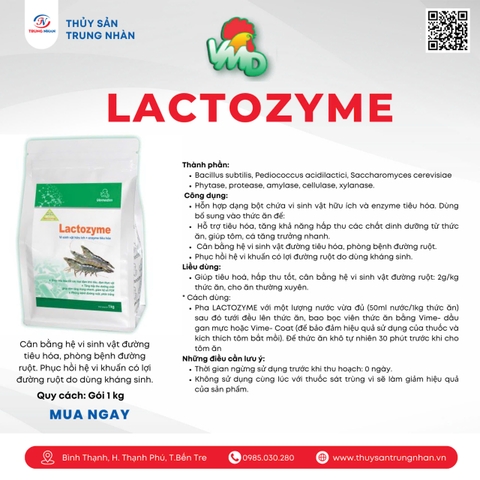 Vime Lactozyme
