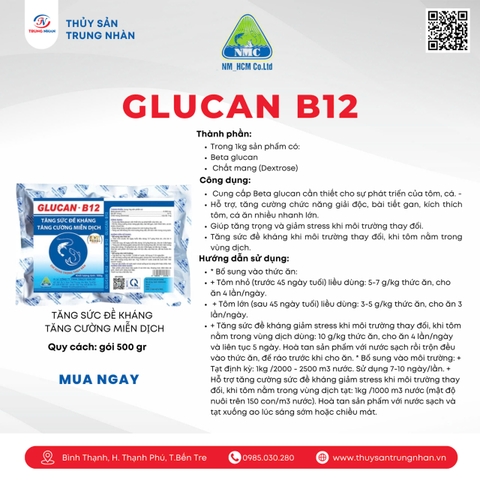 GLUCAN B12