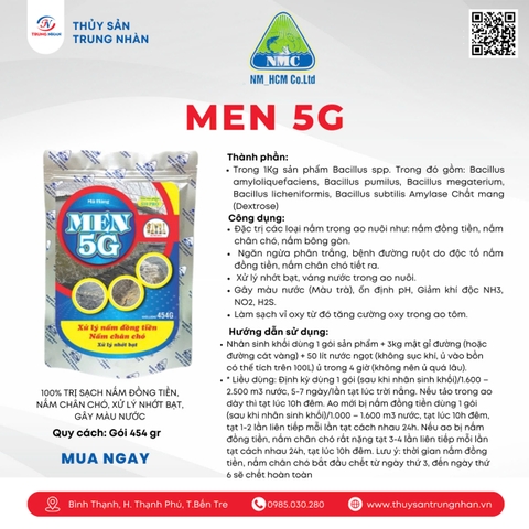 Men 5G