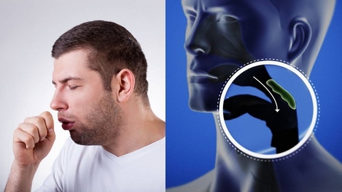 Nhóm ho long đờm - Kháng Histamin H1